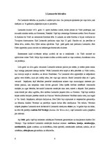 Referāts 'Leonardo da Vinči - ģēnijs', 9.