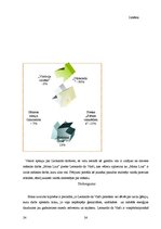 Referāts 'Leonardo da Vinči - ģēnijs', 24.