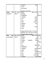Referāts 'Izveides pamatojums un attīstības iespējas viesu namā "Koldessele"', 24.