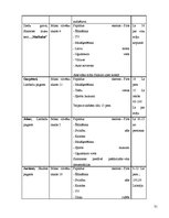 Referāts 'Izveides pamatojums un attīstības iespējas viesu namā "Koldessele"', 30.