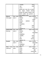Referāts 'Izveides pamatojums un attīstības iespējas viesu namā "Koldessele"', 31.