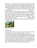 Referāts 'Izveides pamatojums un attīstības iespējas viesu namā "Koldessele"', 45.