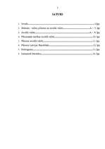 Referāts 'Pilsonis sociālā valstī', 2.