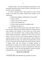 Referāts 'Pilsonis sociālā valstī', 10.