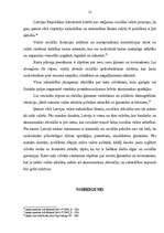 Referāts 'Pilsonis sociālā valstī', 12.