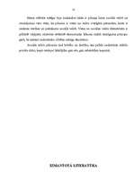 Referāts 'Pilsonis sociālā valstī', 13.