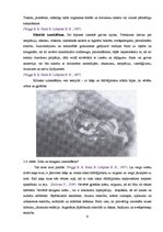 Referāts 'Biežāk sastomamās mutes dobuma patoloģijas kaķiem Latvijā', 9.