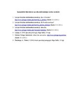 Eseja 'Portidžas modelis', 6.