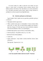 Diplomdarbs 'Semināra “Saskarsmes psiholoģija” organizēšana', 17.