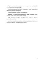 Referāts 'Alkohola ietekme uz cilvēka organismu', 16.