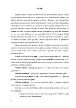 Diplomdarbs 'Vārdu krājuma paplašināšana 4 – 5 gadīgiem bērniem izmantojot didaktiskās spēles', 5.