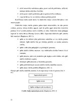 Diplomdarbs 'Vārdu krājuma paplašināšana 4 – 5 gadīgiem bērniem izmantojot didaktiskās spēles', 22.