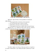 Diplomdarbs 'Vārdu krājuma paplašināšana 4 – 5 gadīgiem bērniem izmantojot didaktiskās spēles', 42.