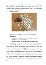 Diplomdarbs 'Vārdu krājuma paplašināšana 4 – 5 gadīgiem bērniem izmantojot didaktiskās spēles', 43.