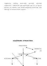 Referāts 'Mārketinga pasākumu analīze uzņēmumā', 5.