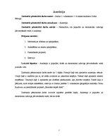 Referāts 'Autostops jauniešu vidū', 2.
