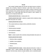 Referāts 'Autostops jauniešu vidū', 5.