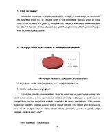 Referāts 'Autostops jauniešu vidū', 16.