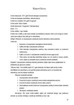 Referāts '2007.gadā Saeimā iesniegtie likumprojekti', 29.