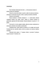 Referāts 'Cilvēka skaistuma etalons no akmens laikmeta līdz mūsdienām', 2.