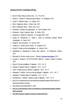 Referāts 'Cilvēka skaistuma etalons no akmens laikmeta līdz mūsdienām', 44.