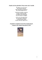 Referāts 'Edvarts Virza darbā "Pansija pilī"', 7.