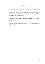 Referāts 'Edvarts Virza darbā "Pansija pilī"', 9.