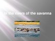 Prezentācija 'In the Rivers of the Savanna', 1.
