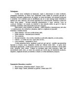 Referāts 'Mīlestība - atbilde uz cilvēka eksistences jautājumu', 13.