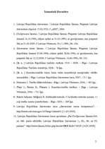 Referāts 'Satversmes tiesas loma tiesību normu iztulkošanā', 24.