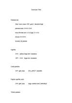 Paraugs 'Lietišķie raksti', 1.