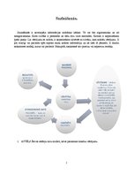 Referāts 'Sazināšanās', 2.