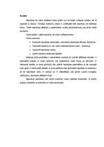 Referāts 'Republikas kā valsts vadīšanas formas raksturojums', 4.