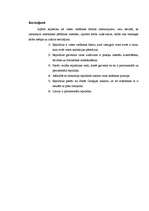 Referāts 'Republikas kā valsts vadīšanas formas raksturojums', 12.