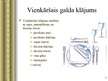 Prezentācija 'Galda kultūra', 21.