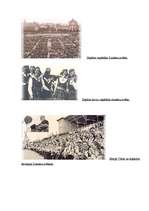 Referāts 'Dziesmu un deju svētki', 45.