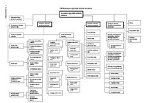 Prakses atskaite 'Valsts ieņēmumu dienesta Kurzemes reģionālās iestādes Liepājas nodaļa', 35.