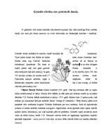 Referāts 'Tehnoloģisko zināšanu attīstība Eiropā: industriālās revolūcijas balsts', 12.