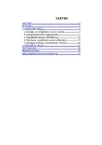 Referāts 'Energosaimniecības organizēšana uzņēmumā', 2.