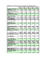 Referāts 'Speciālo skolu vēsture un darbība. BIRC "Mēs esam līdzās"', 14.