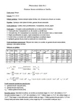 Paraugs 'Gaismas ātruma noteikšana ar lineālu', 1.