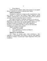 Konspekts 'Uzņēmuma "DSV" raksturojums', 8.