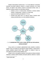 Diplomdarbs 'Mikrouzņēmumu nodokļa piemērošana Latvijā kā viens no mikrouzņēmumu atbalsta pas', 11.