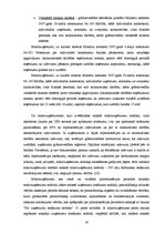 Diplomdarbs 'Mikrouzņēmumu nodokļa piemērošana Latvijā kā viens no mikrouzņēmumu atbalsta pas', 19.