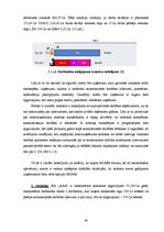 Diplomdarbs 'Mikrouzņēmumu nodokļa piemērošana Latvijā kā viens no mikrouzņēmumu atbalsta pas', 48.