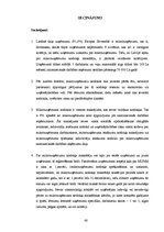 Diplomdarbs 'Mikrouzņēmumu nodokļa piemērošana Latvijā kā viens no mikrouzņēmumu atbalsta pas', 60.