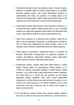 Diplomdarbs 'Mikrouzņēmumu nodokļa piemērošana Latvijā kā viens no mikrouzņēmumu atbalsta pas', 61.