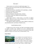 Referāts 'Kruīzu kuģi kā tūrisma sektors', 4.