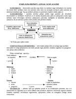 Konspekts 'Darba tirgus vadīšana', 1.