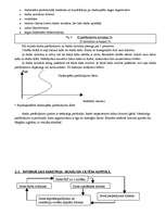 Konspekts 'Darba tirgus vadīšana', 15.